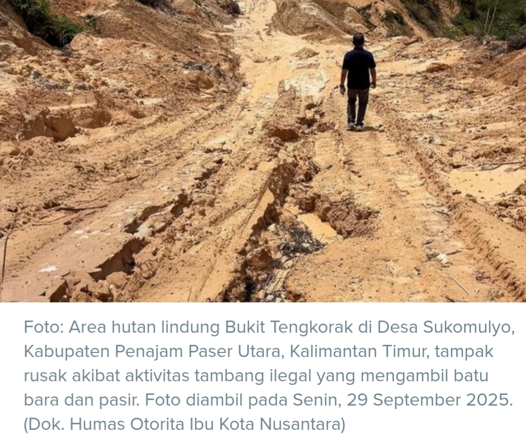 351 Kontainer Isi Batu Bara Ilegal Ditemukan, Negara Rugi Rp5,7 T Firda Dwi Muliawati, CNBC Indonesia 17 October 2025 09:00