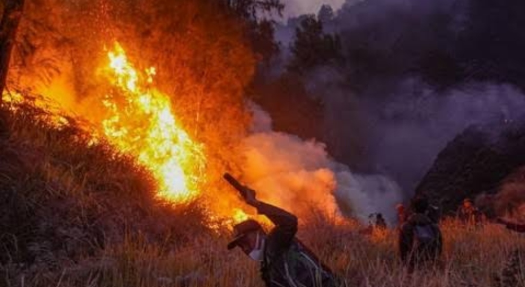 BMKG: El Nino Kuat Picu Kemarau Ekstrem Hingga Karhutla Makin Parah